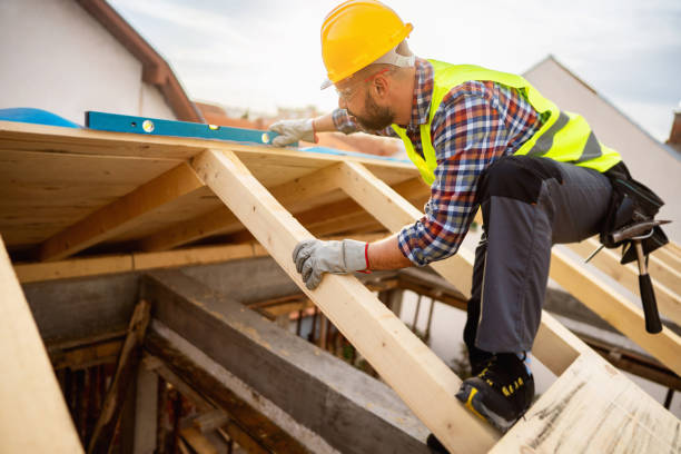 Best Roof Gutter Cleaning  in Lincoln, ID
