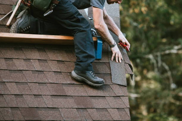 Best Roof Gutter Cleaning  in Lincoln, ID